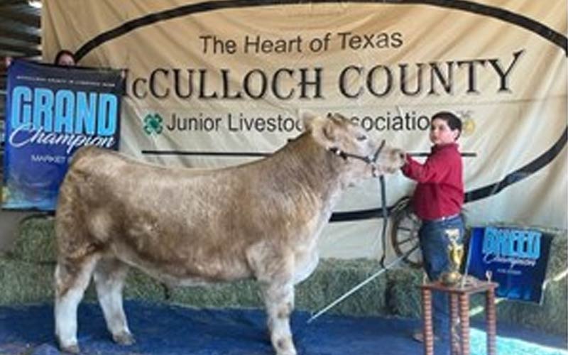 Nuncio Exhibits Grand Champion Steer at McCulloch Livestock Show